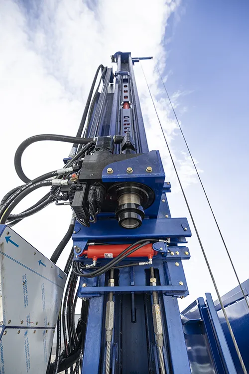 Rotary drilling rig